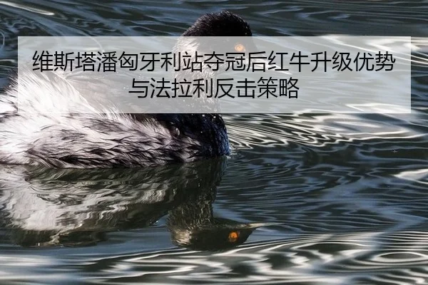 wei-si-ta-pan-xiong-ya-li-zhan-duo-guan-hou-hong-niu-sheng-ji-you-shi-yu-fa-la-li-fan-ji-ce-lve-3-817.jpg