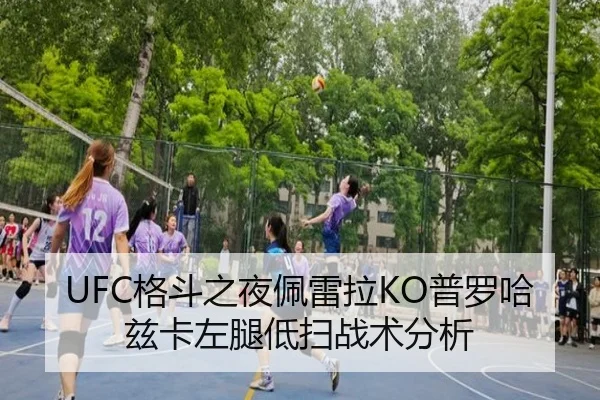 UFC格斗之夜佩雷拉KO普罗哈兹卡左腿低扫战术分析