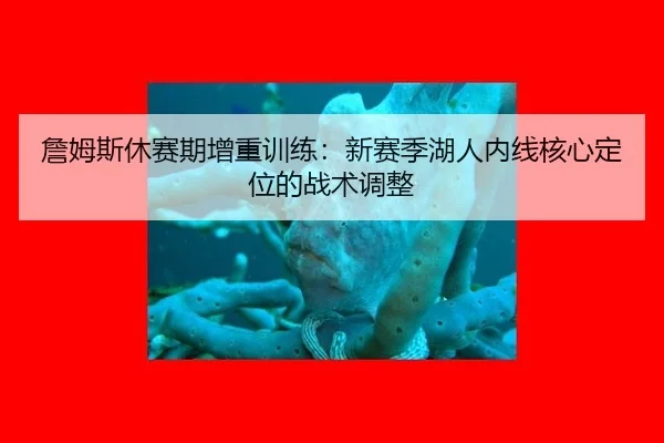詹姆斯休赛期增重训练：新赛季湖人内线核心定位的战术调整